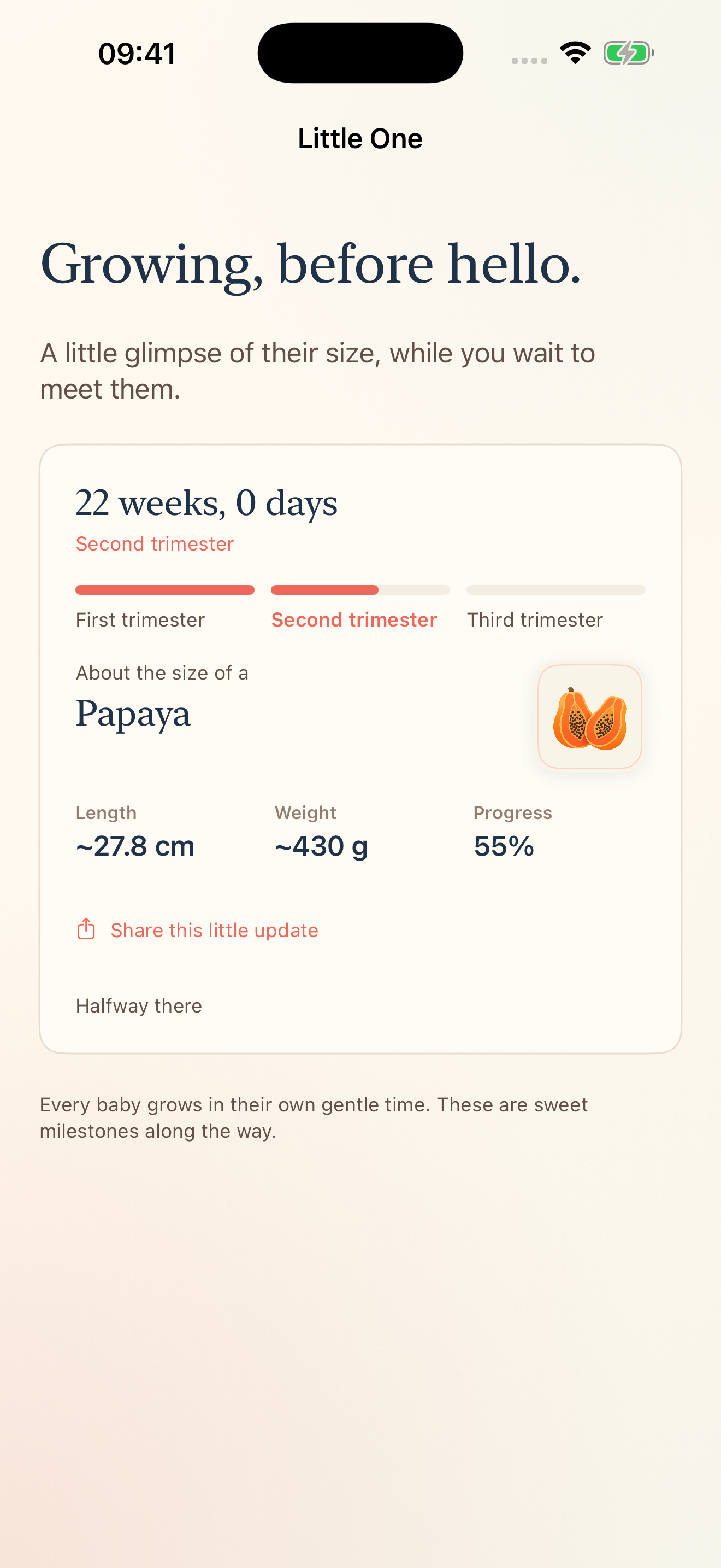 Kins pregnancy progress at 22 weeks with a papaya size comparison
